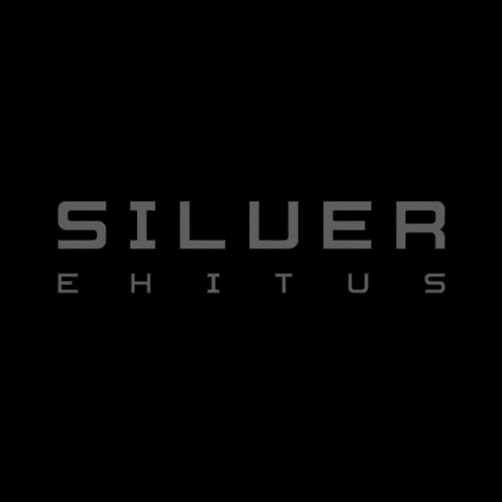 Silver-ehitus-mockup VDisain