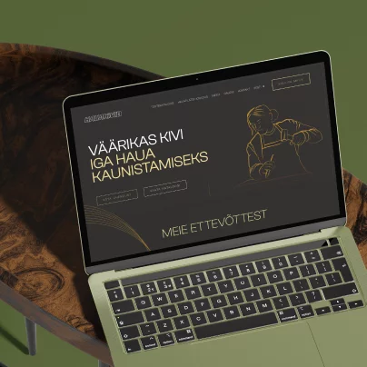 haukivid page VDisain