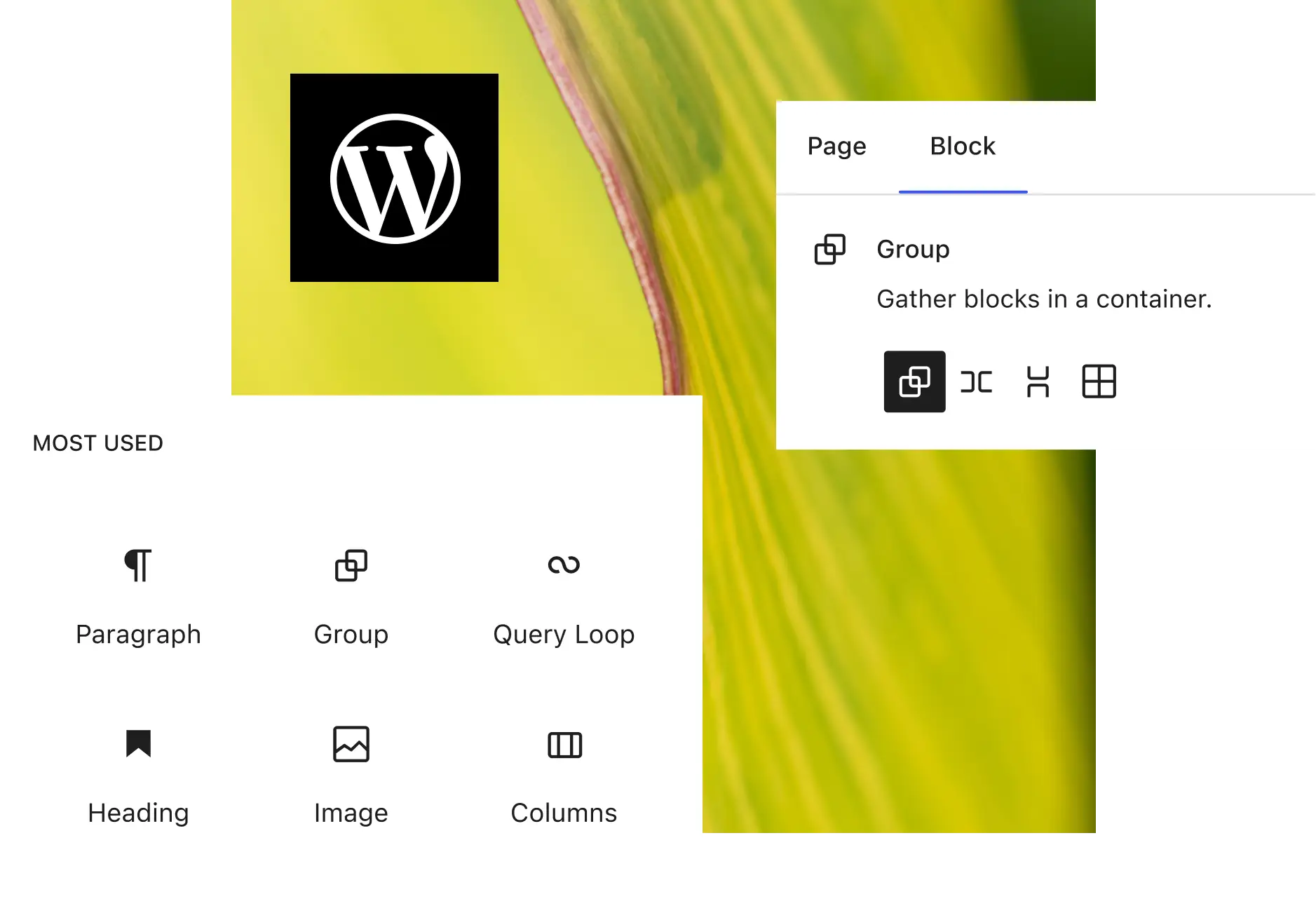 WordPress development services