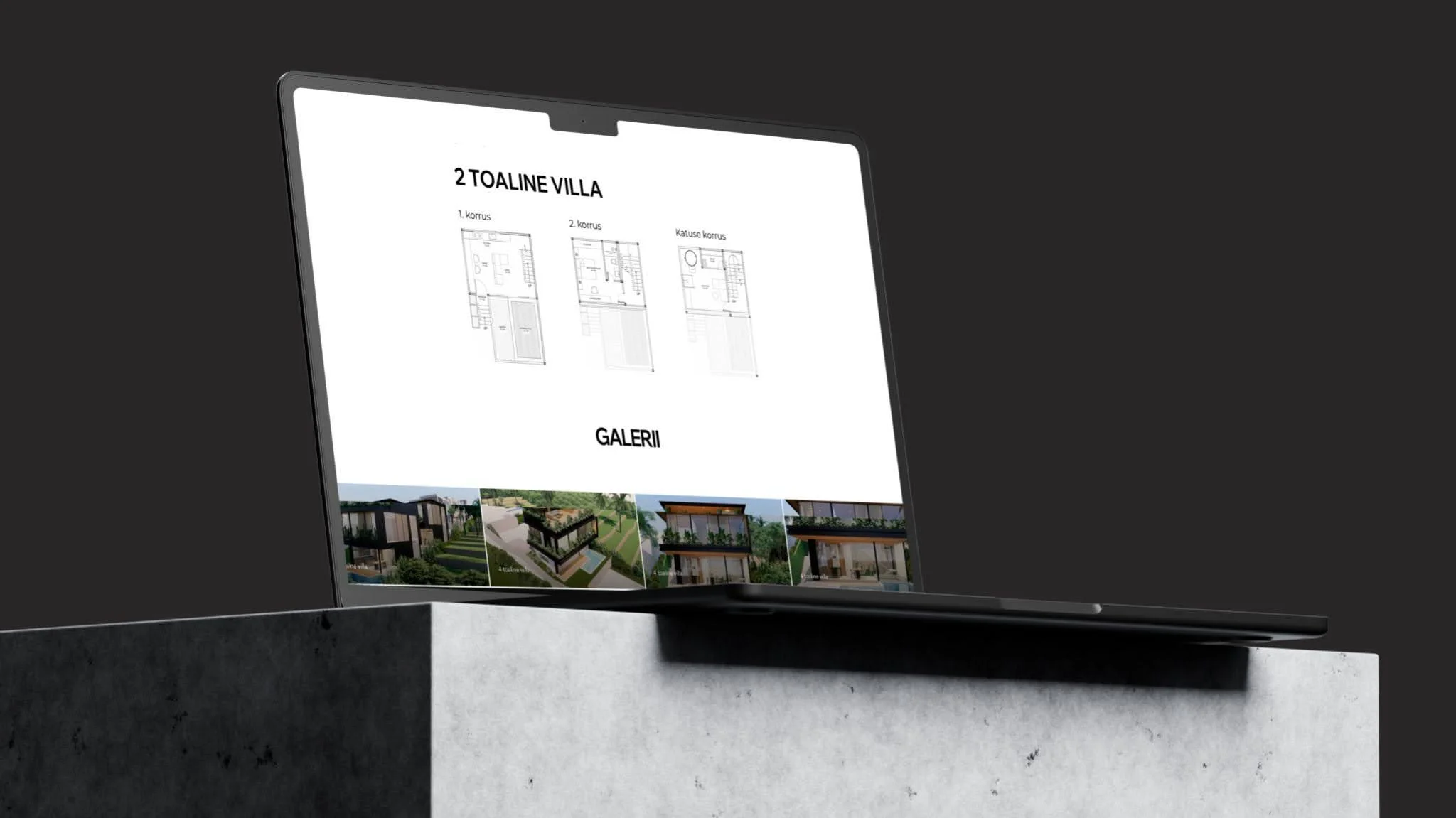 venturivillasbali-juhtumiuuring arvutis avatud veebileht VDisain