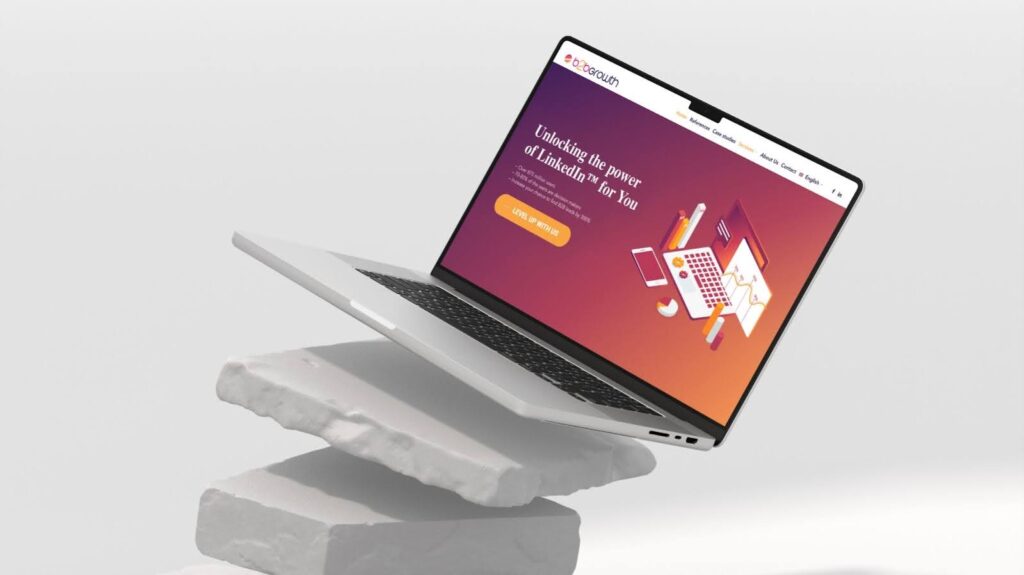 b2bgrowth.eu-CaseStudy VDisain