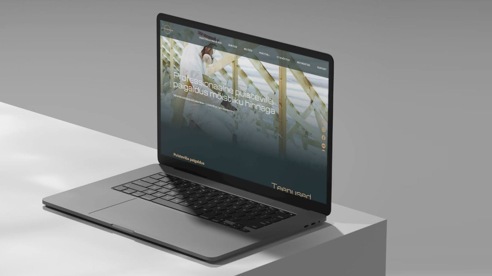 puistemees-CaseStudy VDisain